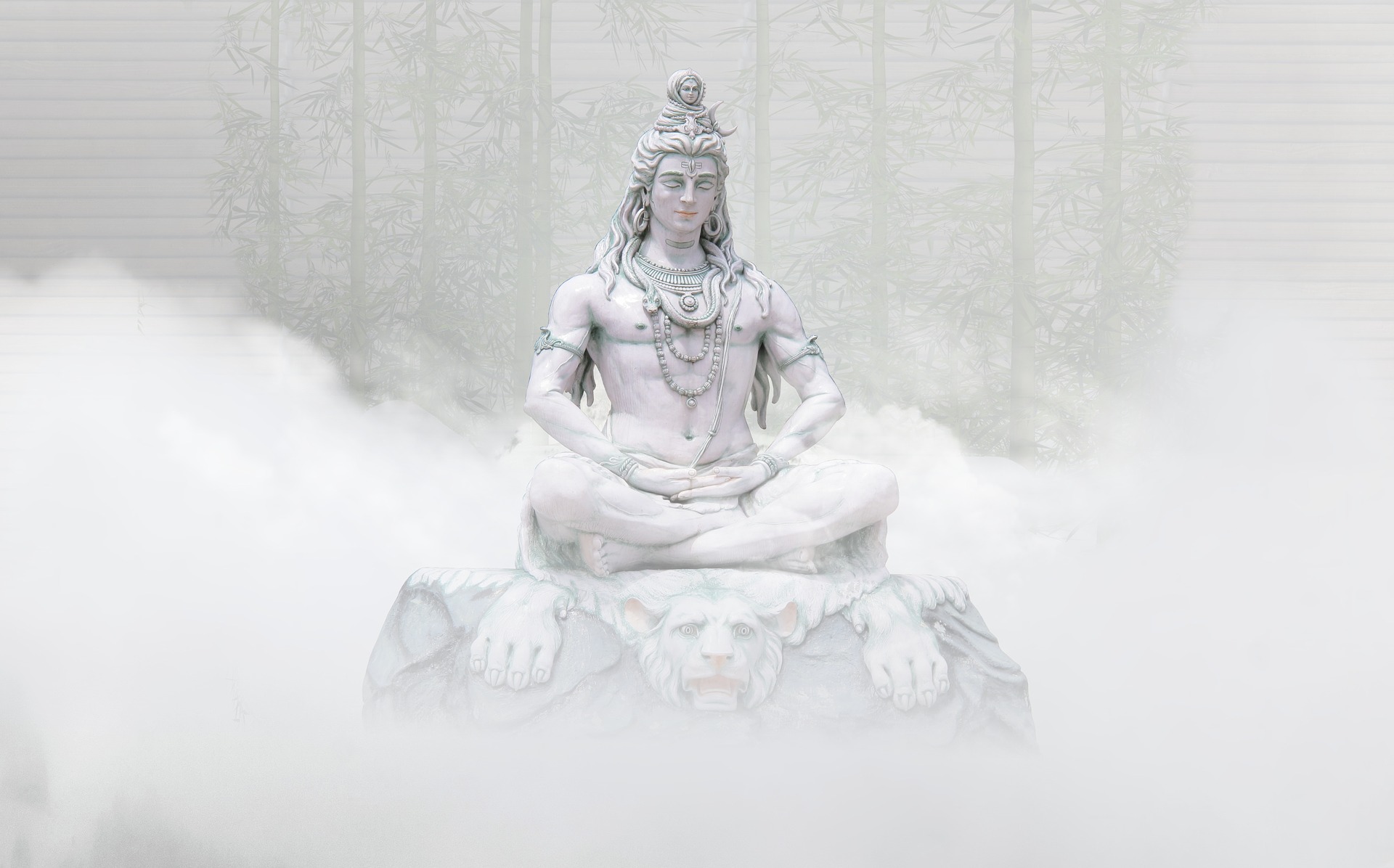Understanding Shiva (Day 1544)