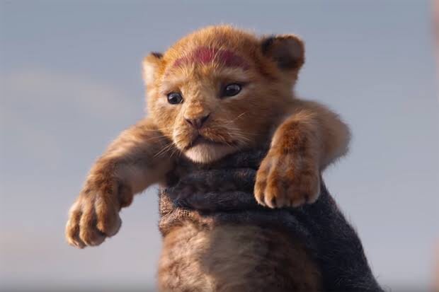Movie Review – Lion King Day 1622