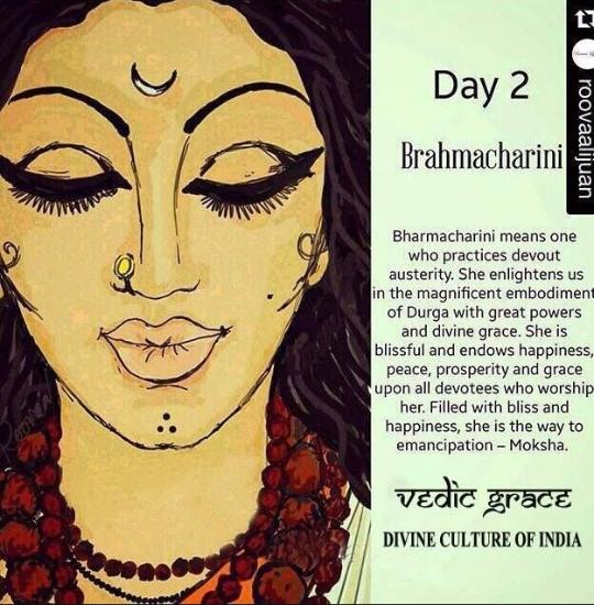 Navratri Day 2 – Day 1659